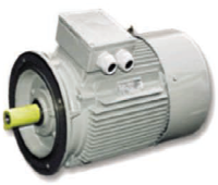 Электродвигатель FCM225S-8 sn1509439922 18.5kW